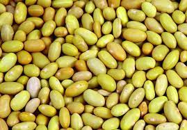 Grano Frijol Peruano